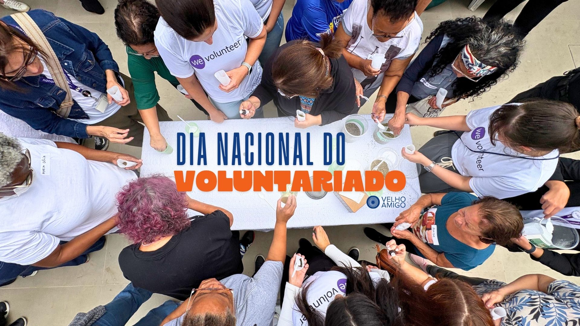 Participantes reunidos em atividade colaborativa durante ação relacionada ao Dia Nacional do Voluntariado.